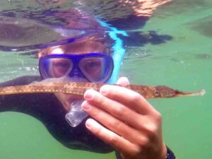 Snorkling i Assens
